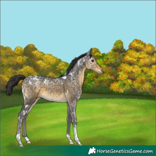 Horse Color:White Spotted Buckskin Ice Tobiano 