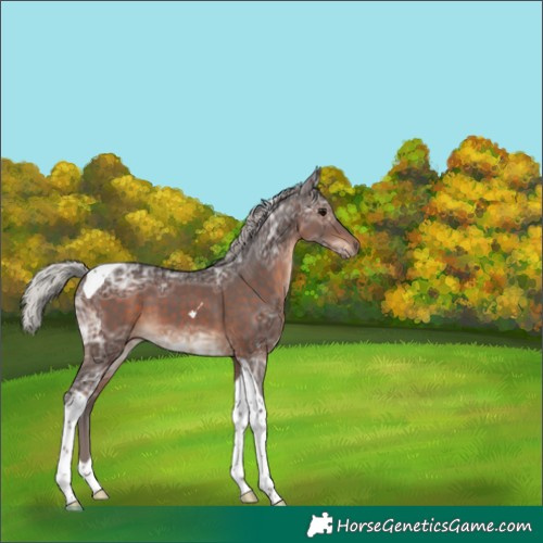 Horse Color:Silver Brown Ice Tobiano