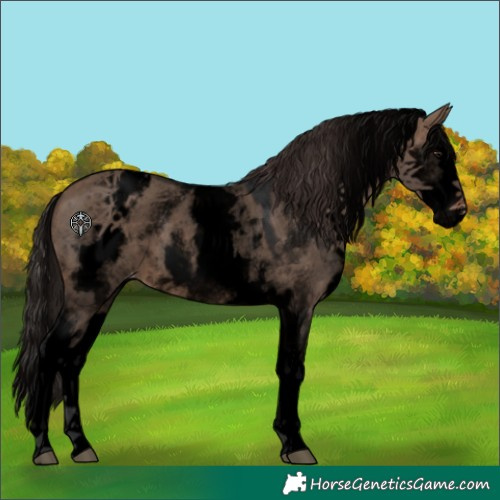 Horse Color:Void White Spotted Brown Dun Splash Varnish 