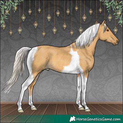Horse Color:Palomino Dun Tobiano