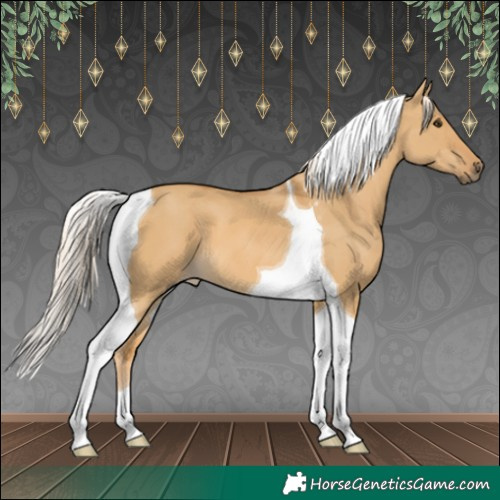 Horse Color:Palomino Dun Tobiano 