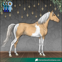 Horse Color:Palomino Dun Tobiano 