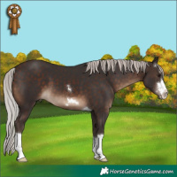 Horse Color:Silver Brown