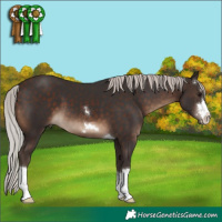Horse Color:Silver Brown 