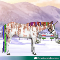 Horse Color:Painted Chestnut Sabino Splash Appaloosa 
