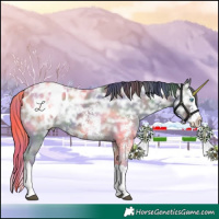 Horse Color:Nacre Black Ice Sabino Splash Blanket