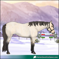 Horse Color:Buckskin Roan 