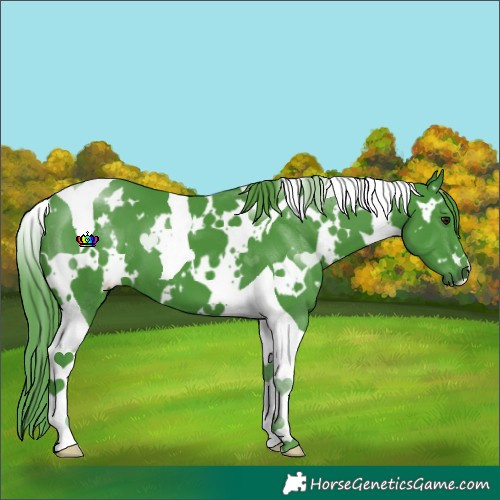 Horse Color:Watercolor White Spotted Smoky Black Chinchilla Tobiano 