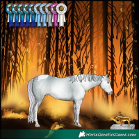 Horse Color:Gray Watercolor Silver Classic Champagne Dun Tobiano 
