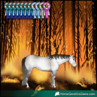 Horse Color:Gray Bay Onyx Tobiano 