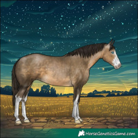 Horse Color:Gray White Spotted Buckskin Pearl 