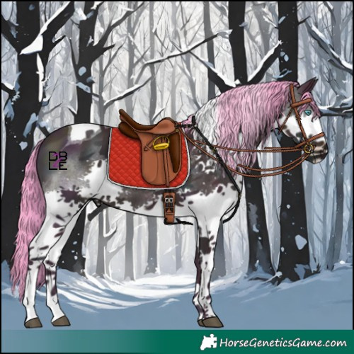 Horse Color:Watercolor Midnight Bay Dun Splash Tobiano 