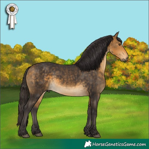 Horse Color:Buckskin 