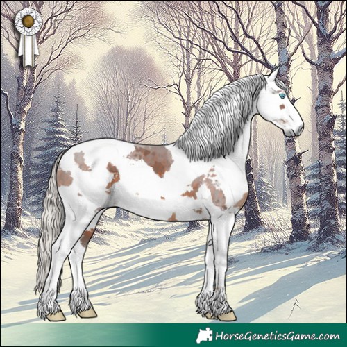 Horse Color:Silver Brown Harlequin Merle 