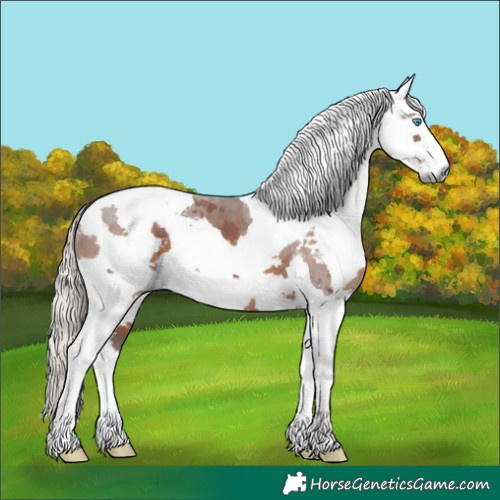 Horse Color:Silver Brown Harlequin Merle 