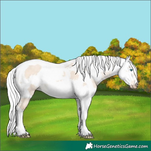Horse Color:Silver Perlino Dun Harlequin Merle 