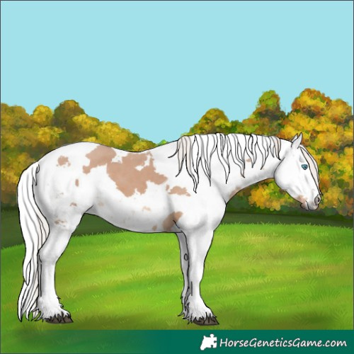 Horse Color:Silver Brown Dun Harlequin Merle 