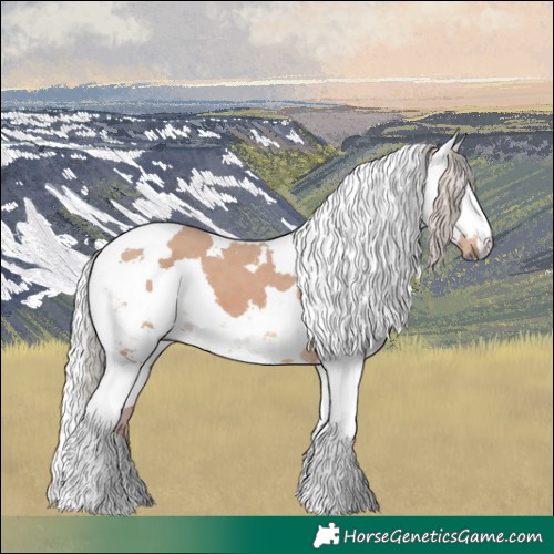 Horse Color:Silver Brown Dun Harlequin Merle 