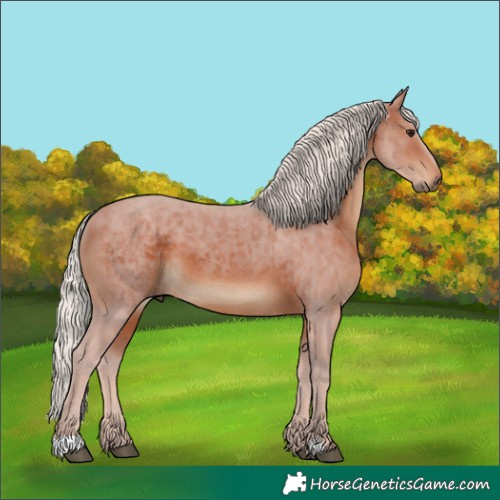 Horse Color:Silver Brown 