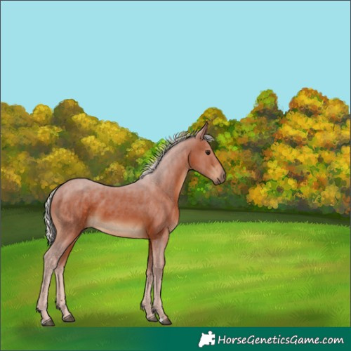 Horse Color:Silver Brown