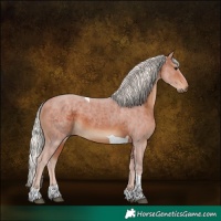 Horse Color:Silver Brown Tobiano 