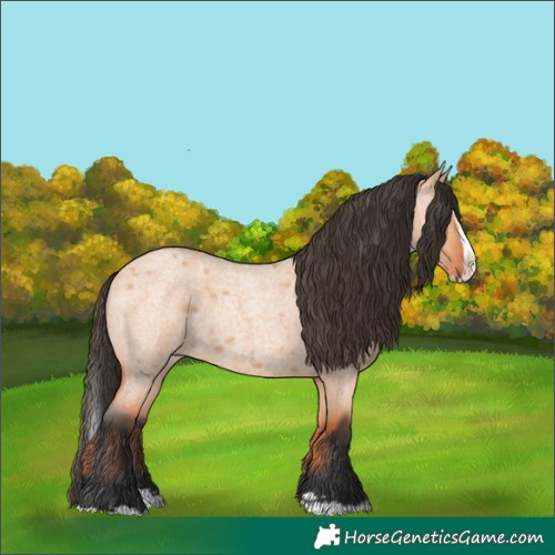 Horse Color:Bay Roan Dun Splash