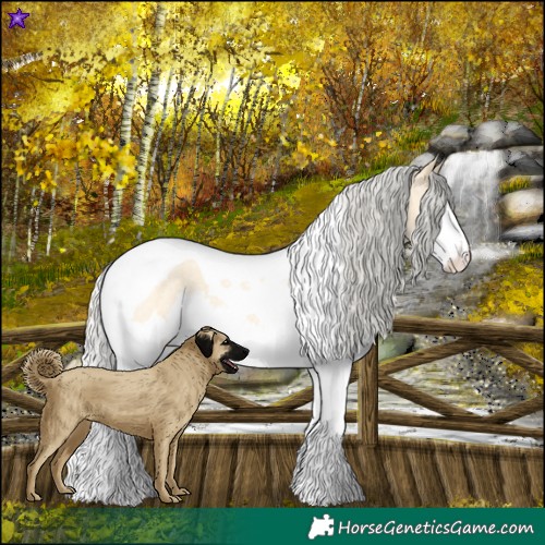 Horse Color:Silver Buckskin Roan Dun Splash Tobiano 