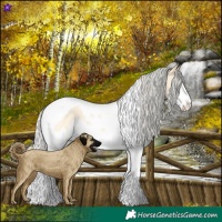 Horse Color:Silver Buckskin Roan Dun Splash Tobiano 