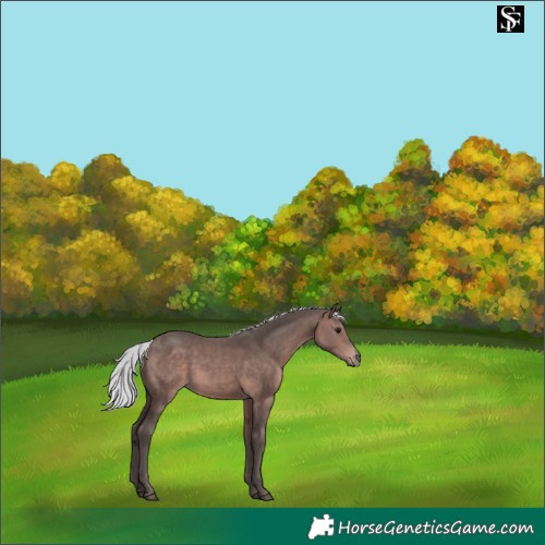 Horse Color:Platinum Silver Bay 