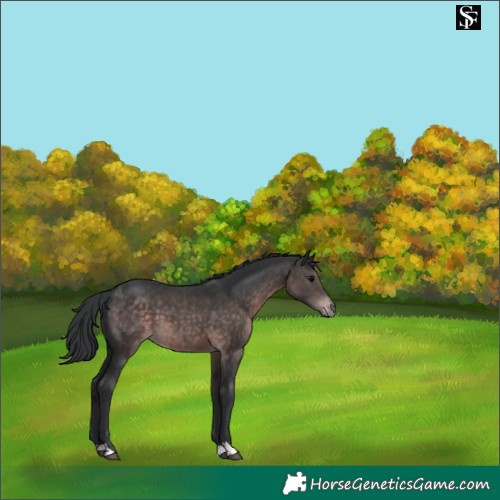 Horse Color:Platinum Brown 