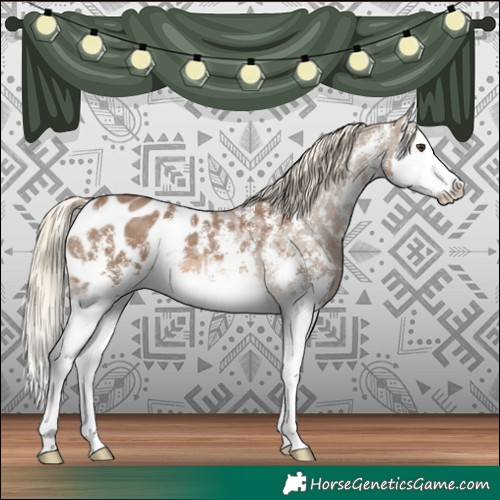 Horse Color:Chocolate Palomino Sabino Splash Blanket