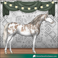 Horse Color:Chocolate Palomino Sabino Splash Appaloosa
