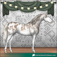 Horse Color:Chocolate Palomino Sabino Splash Blanket 