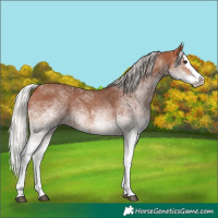 Horse Color:White Spotted Silver Bay Splash 