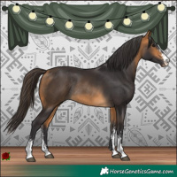 Horse Color:Buckskin Sabino Rabicano 