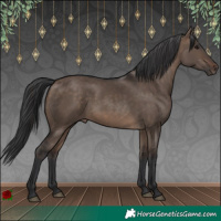 Horse Color:Brown Dun Rabicano 