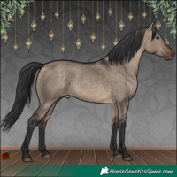 Horse Color:Brown Dun Rabicano 