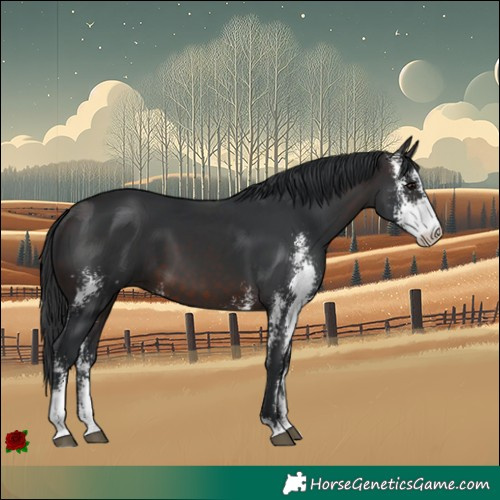 Horse Color:Brown Sabino 