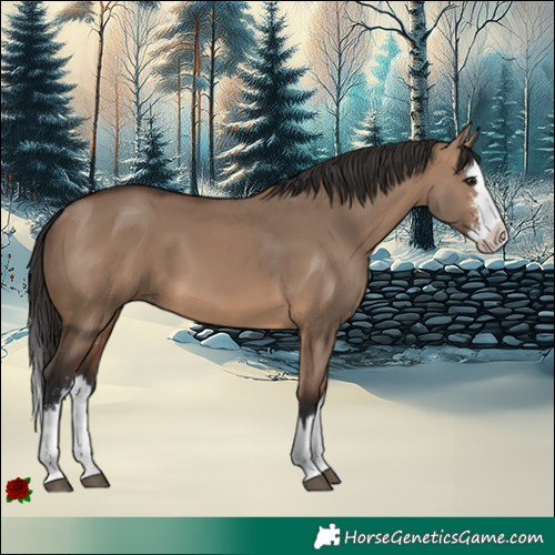 Horse Color:Brown Dun Sabino Splash 