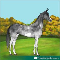 Horse Color:White Spotted Black Frame 