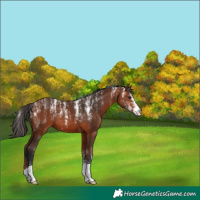 Horse Color:Powder White Bay