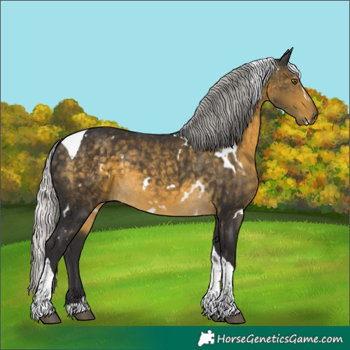 Horse Color:White Spotted Silver Buckskin Tobiano