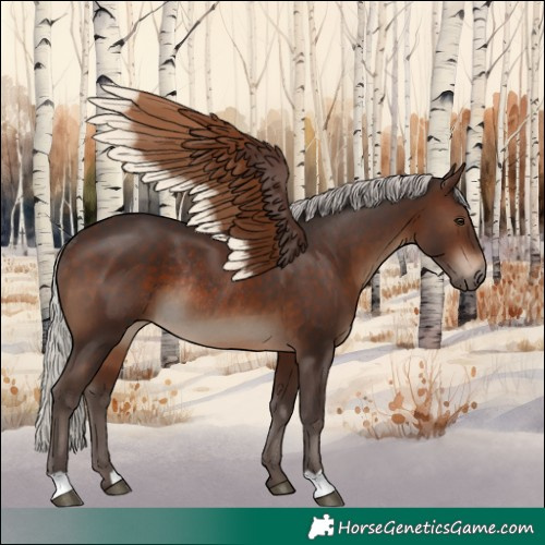 Horse Color:Silver Brown Rabicano 