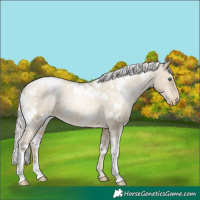 Horse Color:White Spotted Silver Smoky Grullo Pearl Varnish 