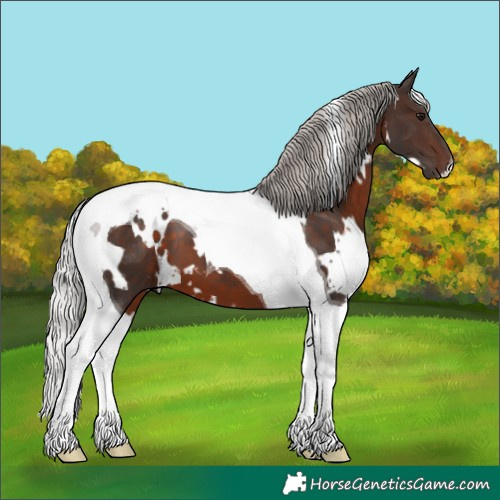 Horse Color:White Spotted Silver Brown Tobiano 