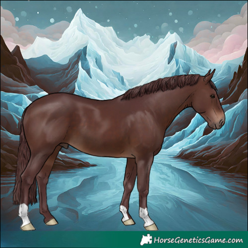 Horse Color:Chocolate Brown 