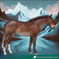 Horse Color:Chocolate Brown