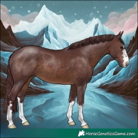 Horse Color:Chocolate Brown