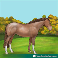 Horse Color:Brown Pearl 