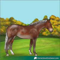 Horse Color:Silver Brown